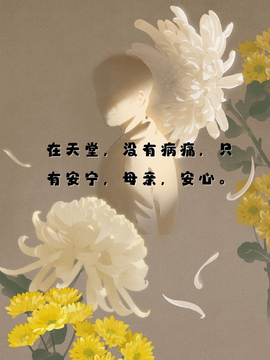 母亲一路走好天堂安息短句 母亲.@梨花映晚风的动态