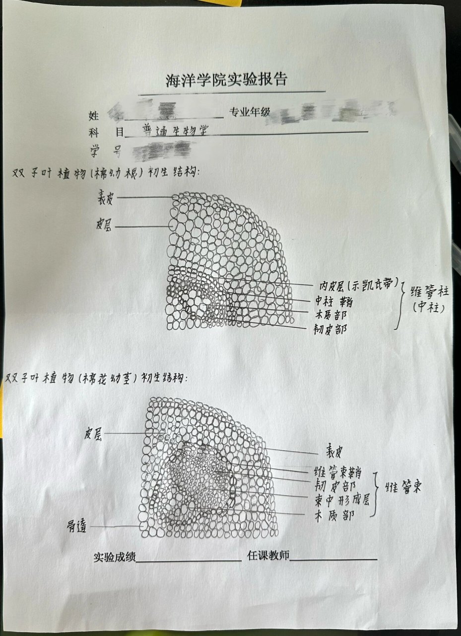 茎叶图例题图片