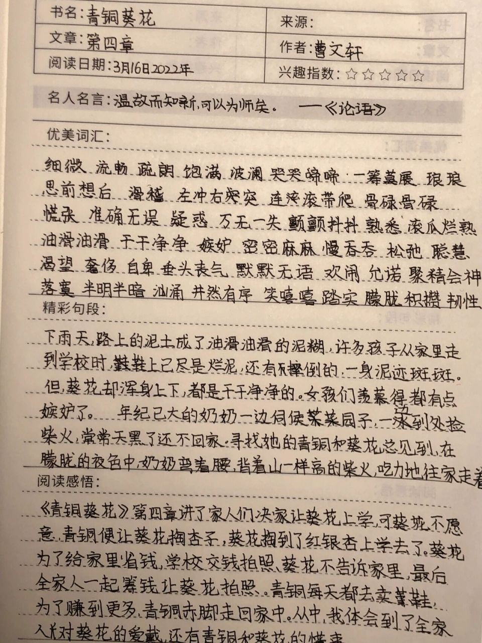 青铜葵花摘抄第四章