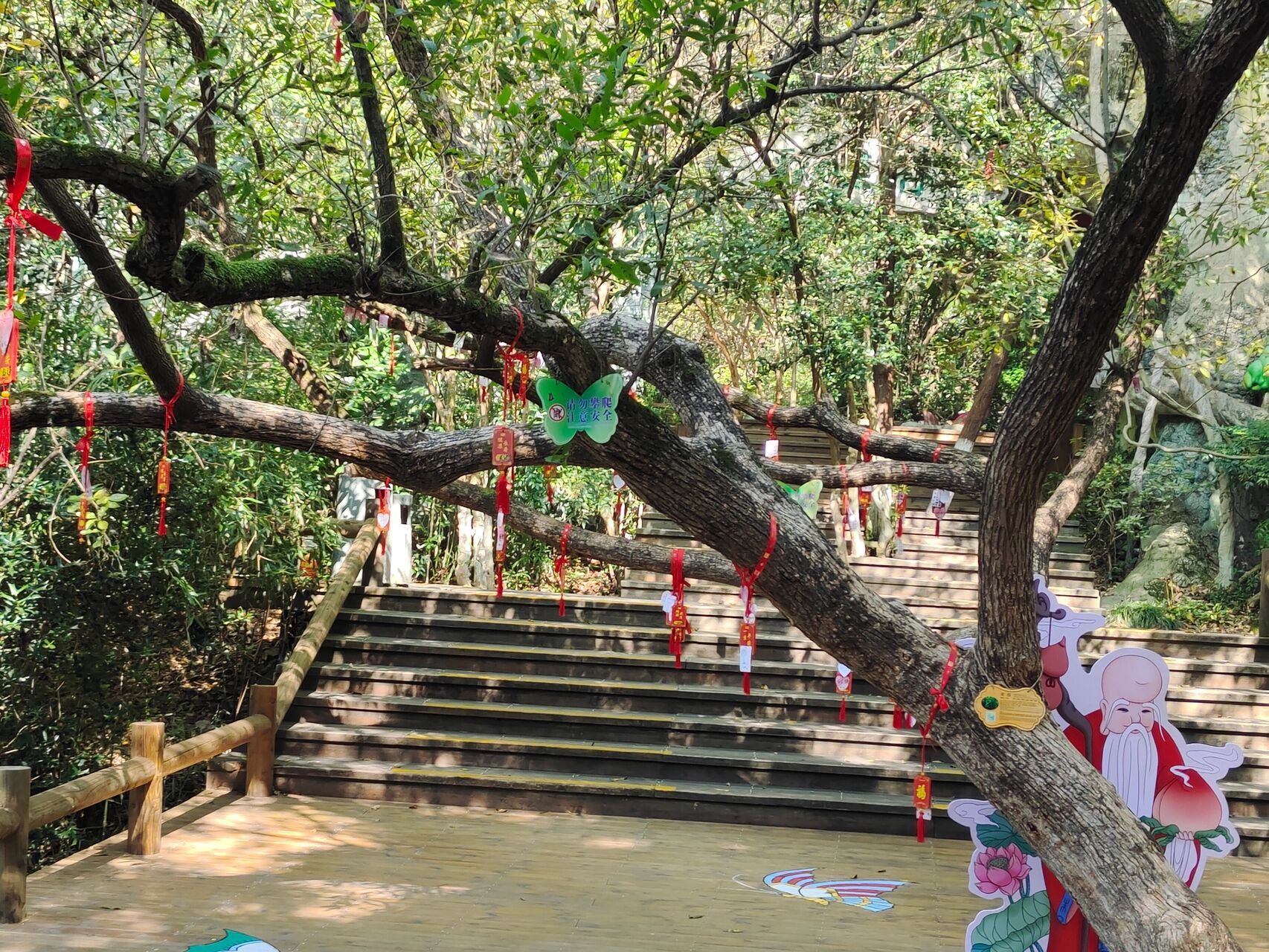 天目湖山水園一日遊攻略 美團上團的成人票 船票99/個人 開車自駕過去