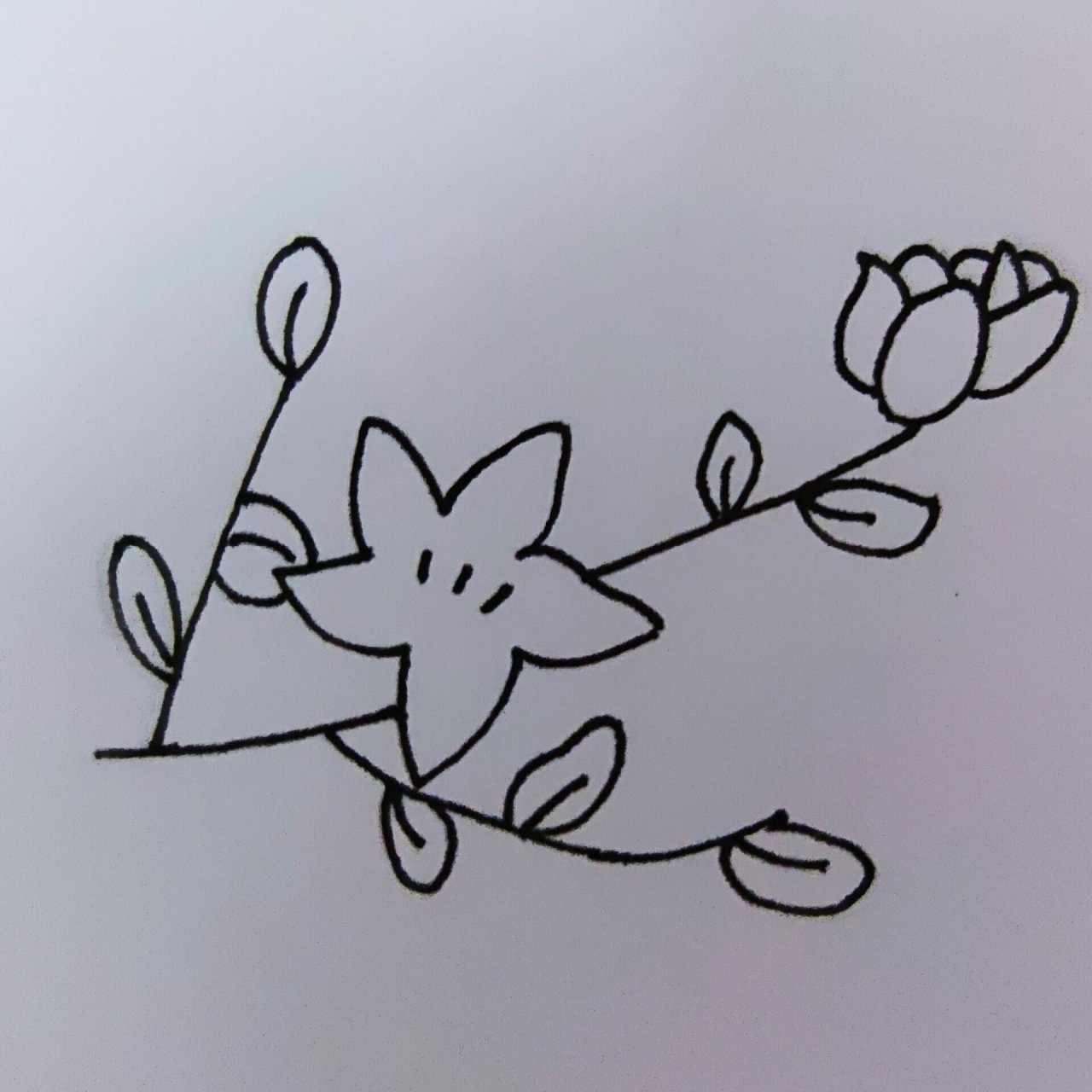 茉莉花简笔画 茉莉茉莉,希望莫离～ 堆堆白纸黑笔简笔画73