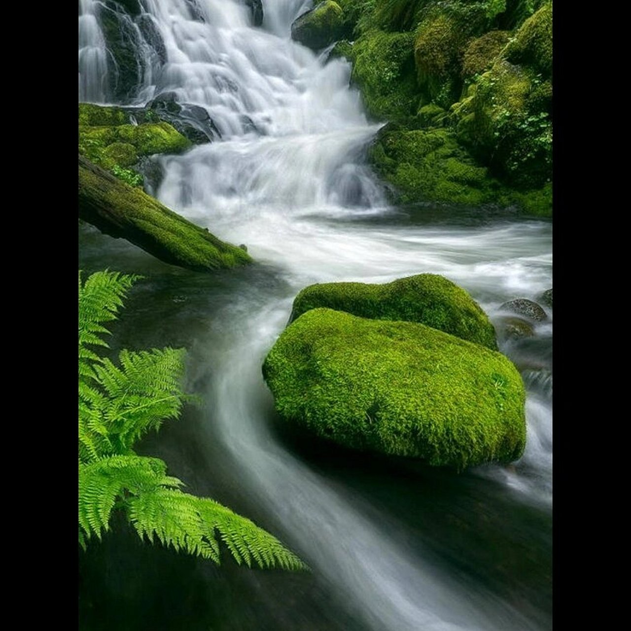 水木相生「男女头像背景图」