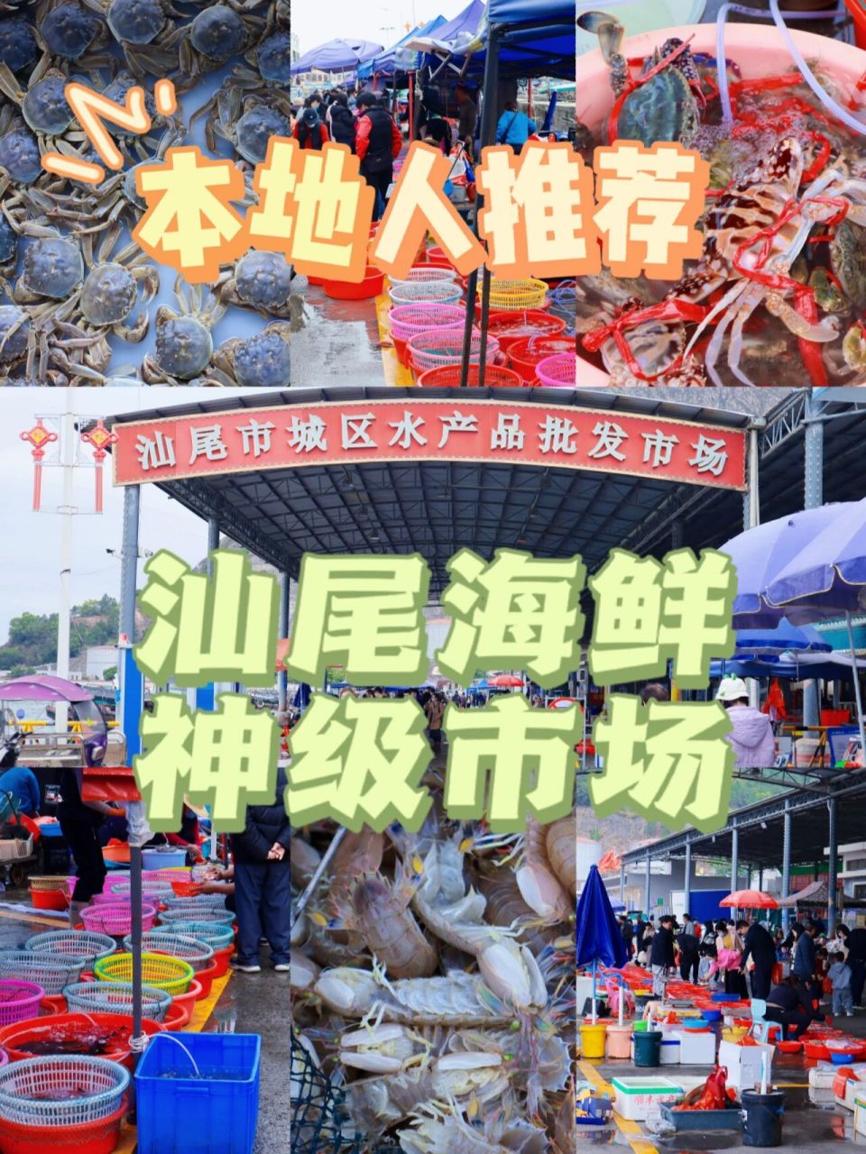 如果你没来汕尾马宫,你是不知道马宫水产批发市场有多牛逼91海鲜第