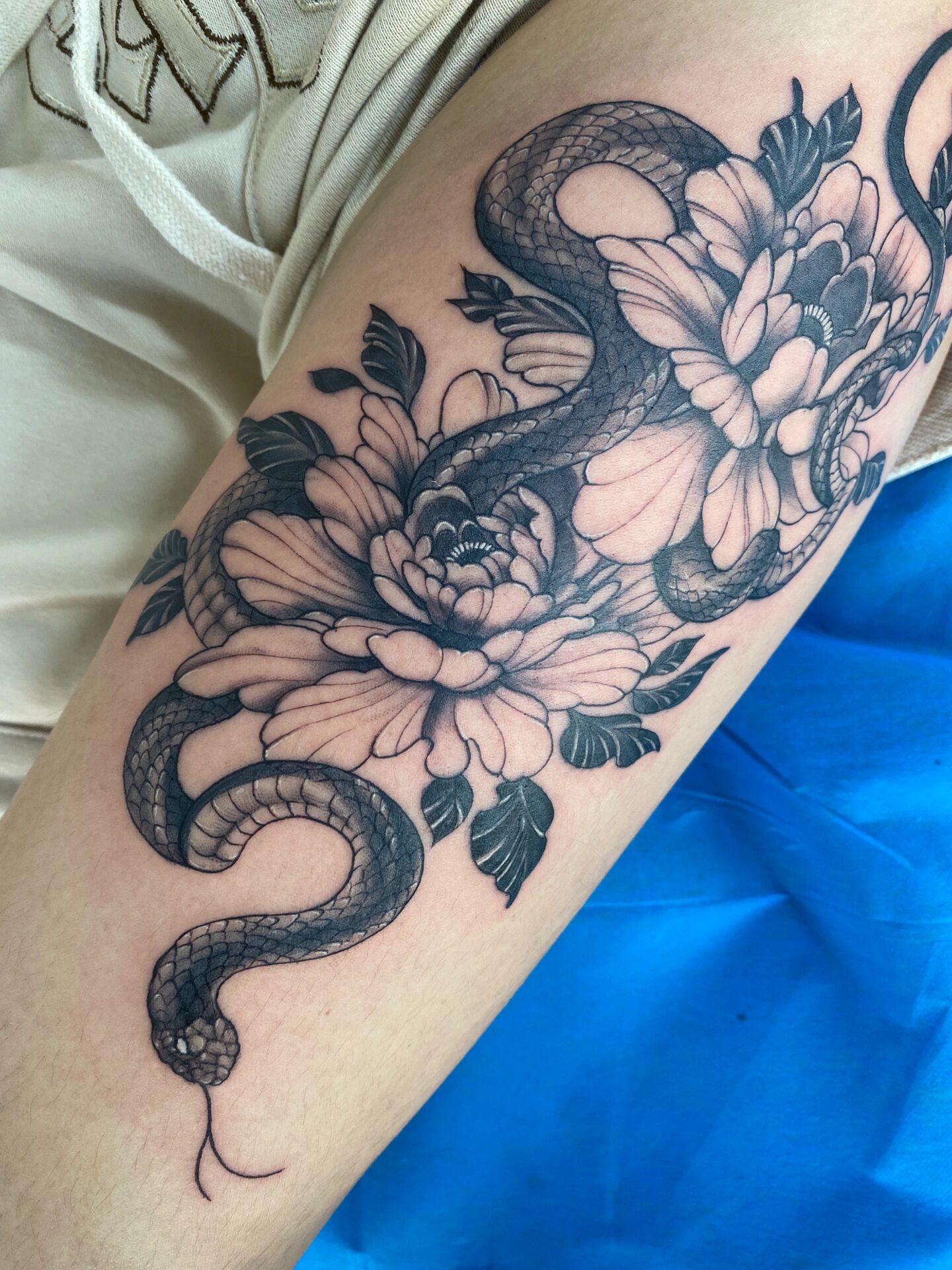 素花蛇纹身@锦绣前程的一生的动态