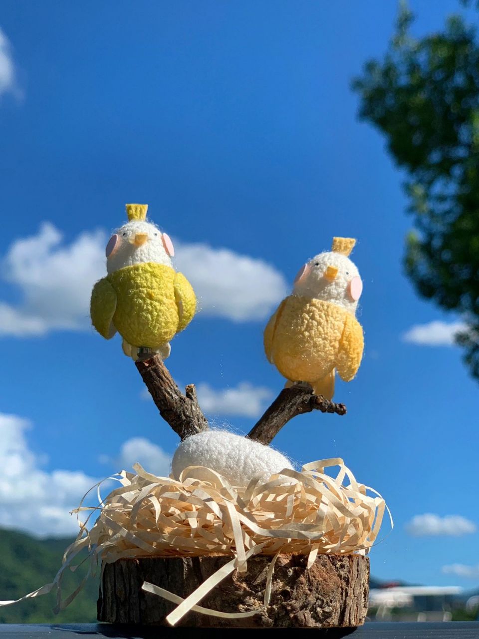 蚕茧手作|创意手工 用蚕茧做的挂件,胸针,钥匙扣,画框 蚕茧文化的魅力