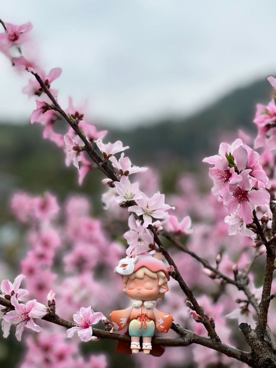 义乌桃花坞景区图片