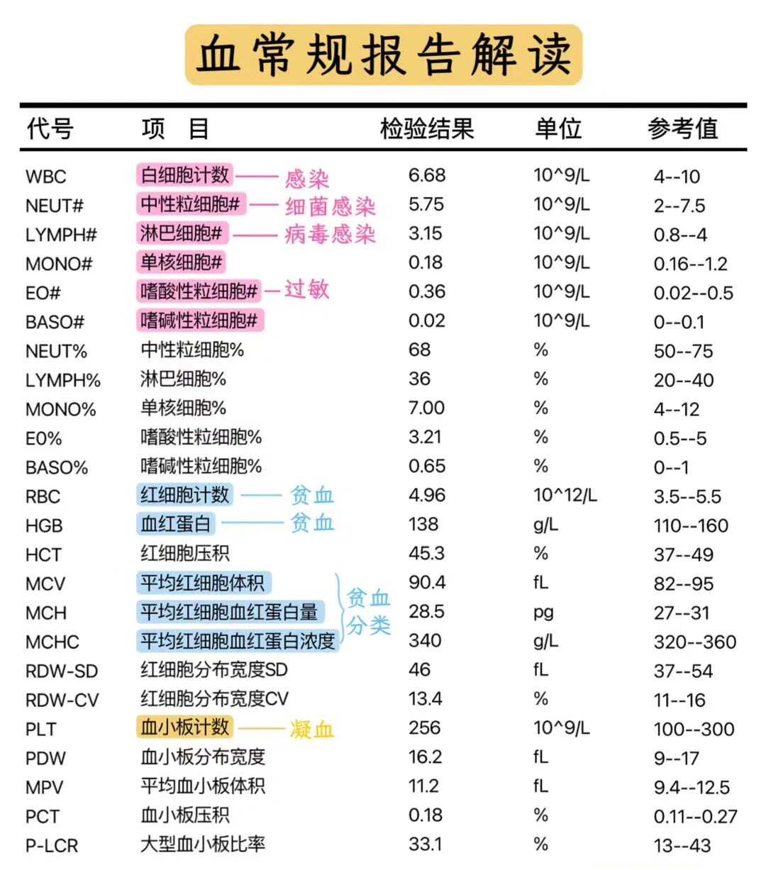 教你1秒看懂血常规报告