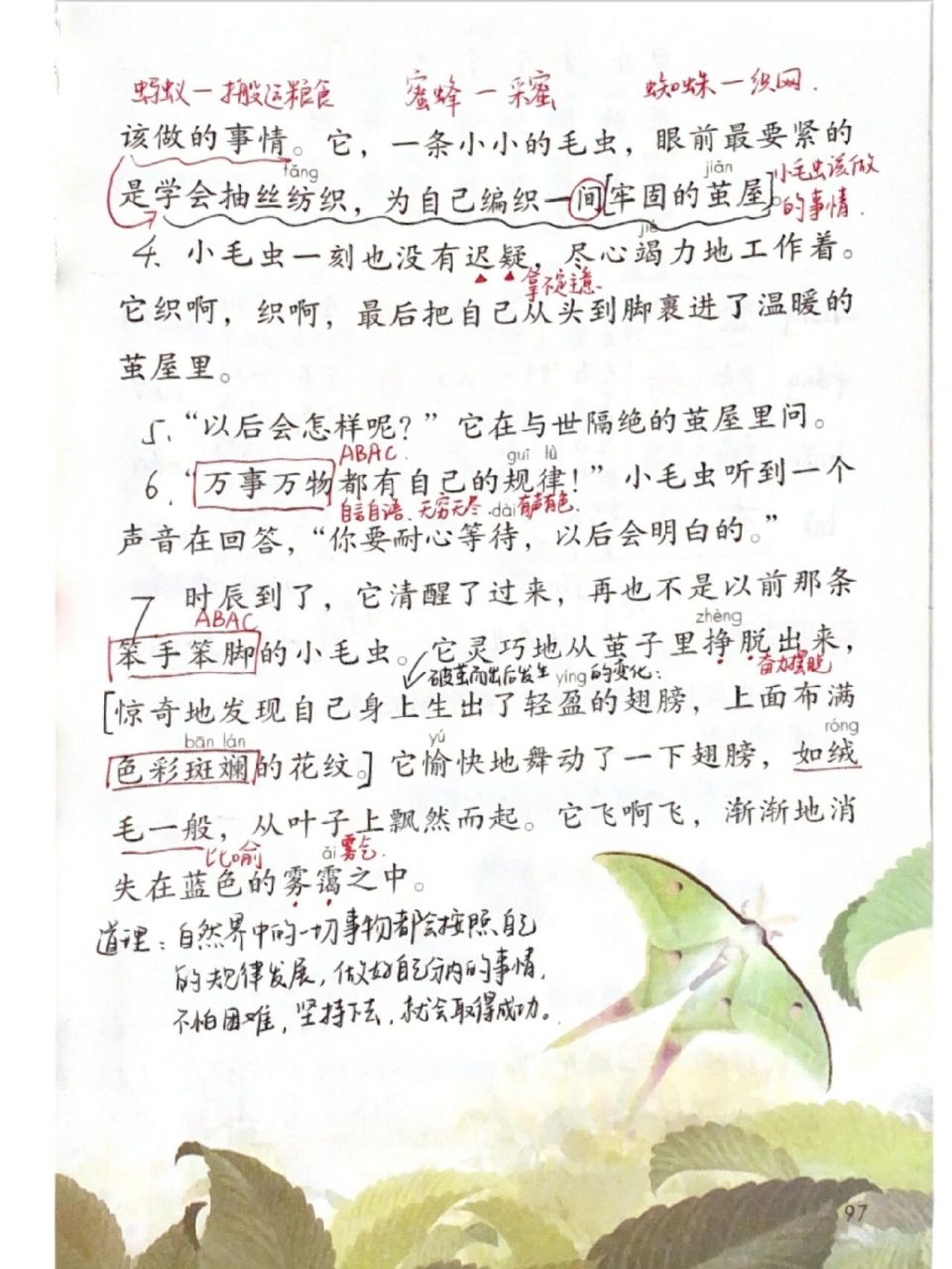 二下语文|第22课《小毛虫》