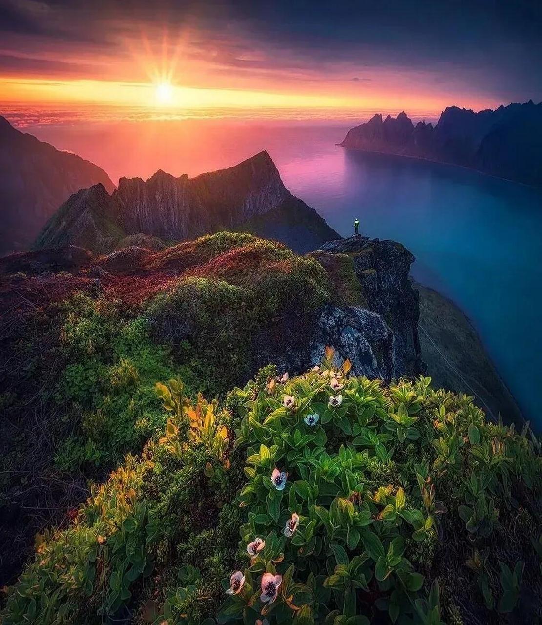 培养摄影眼丨审美提升丨路上的治愈风景美图 荷兰风光摄影师 max rive