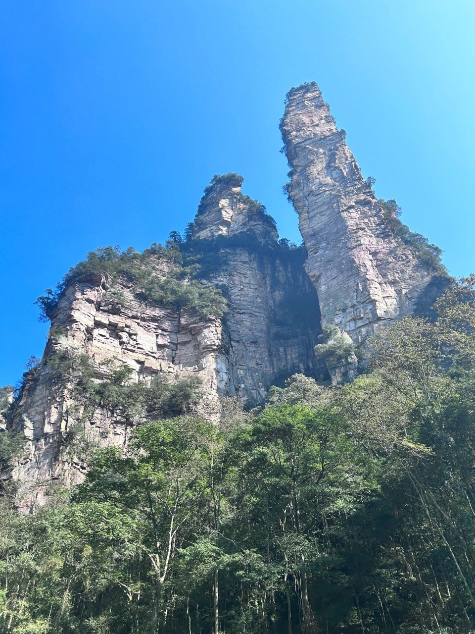 张家界|黄石寨金鞭溪一日游攻略 张家界旅游第二天-黄石寨 & 金鞭溪