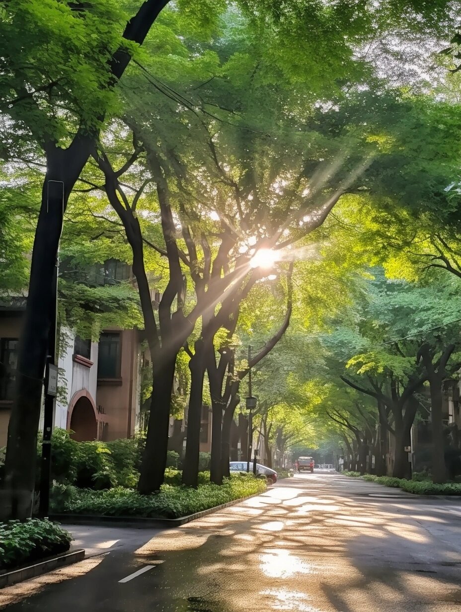 清晨,城市,阳光