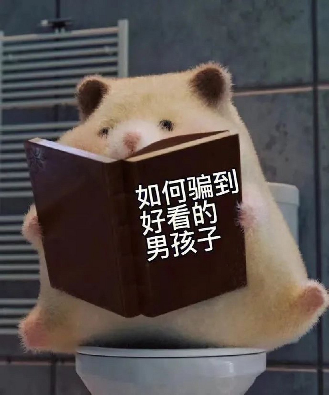 如何骗到好看的男孩子 🥲