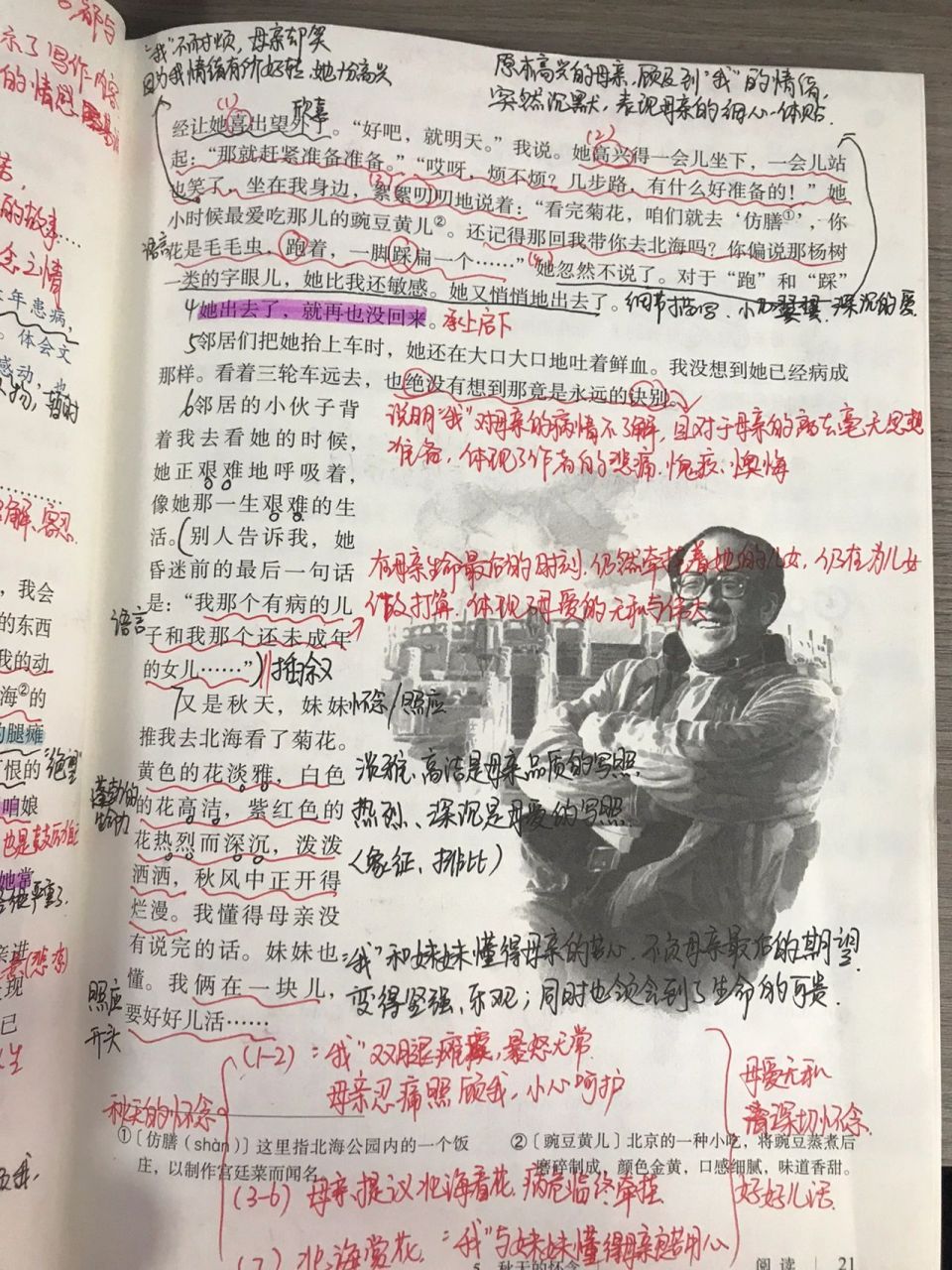 初一语文笔记|《秋天的怀念》