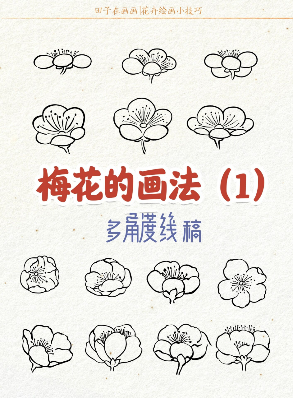 梅花的画法 | 多角度线稿 | 零基础绘画教程 今天学习一下梅花的画法