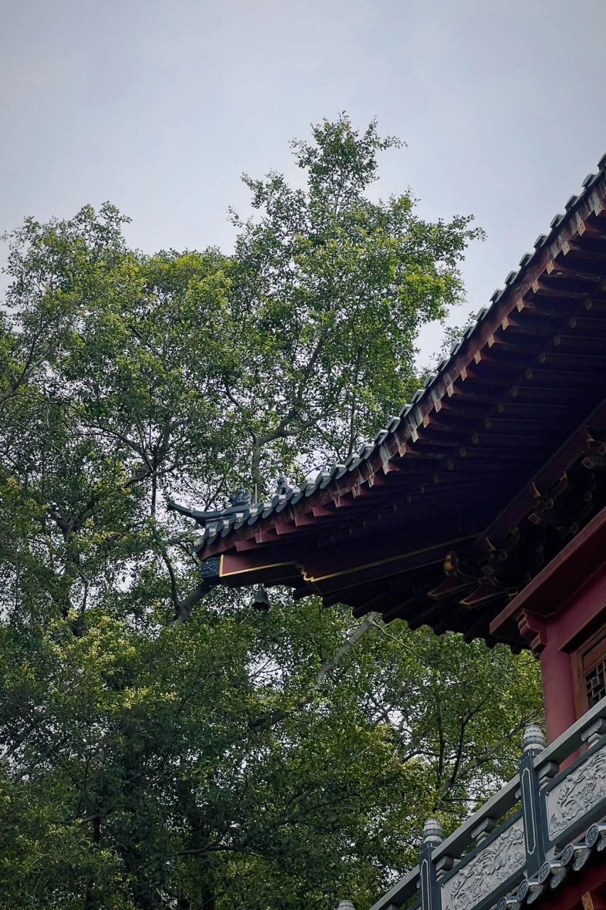 柳州开山寺 | 听寺庙里的禅音 柳城凤山县的开山寺,每逢初一十五都会