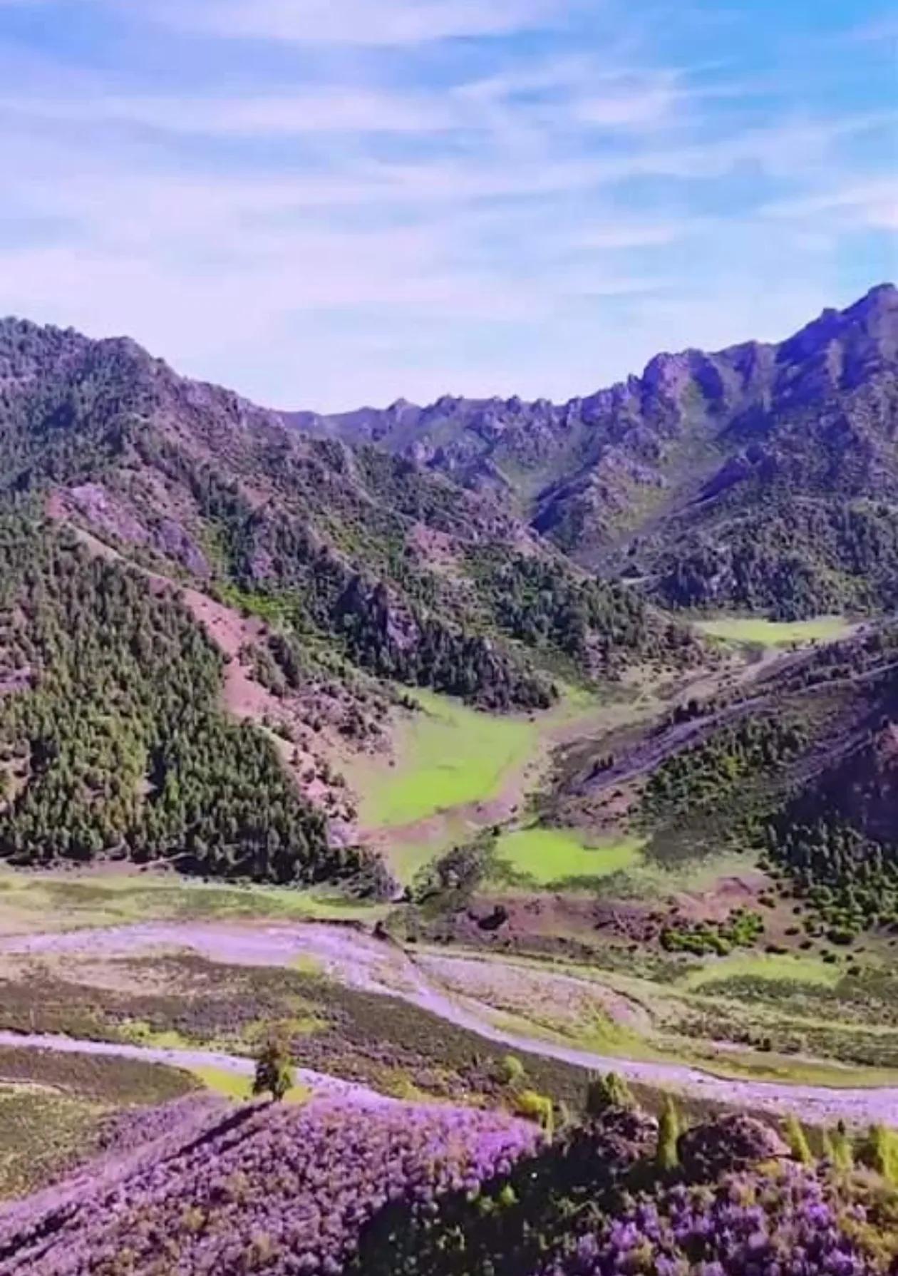 甘肃省天祝石门沟,宛如一颗被尘世遗忘的明珠,景色迷人得让人如痴如醉