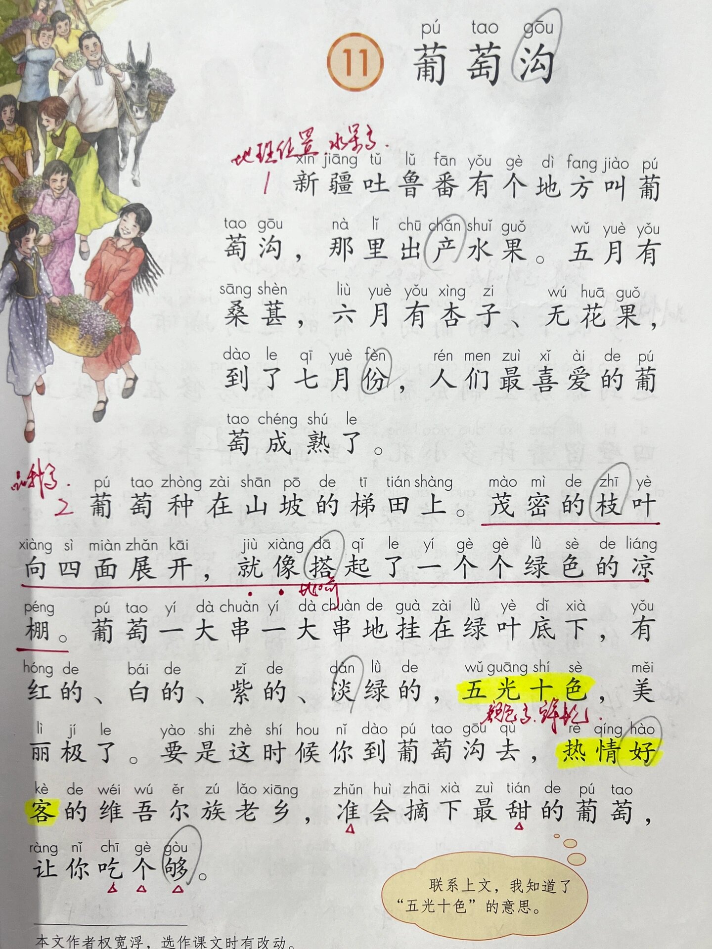 葡萄沟 课文最后一段是对全文的总结,抓住这段的学习往前倒推:为什么