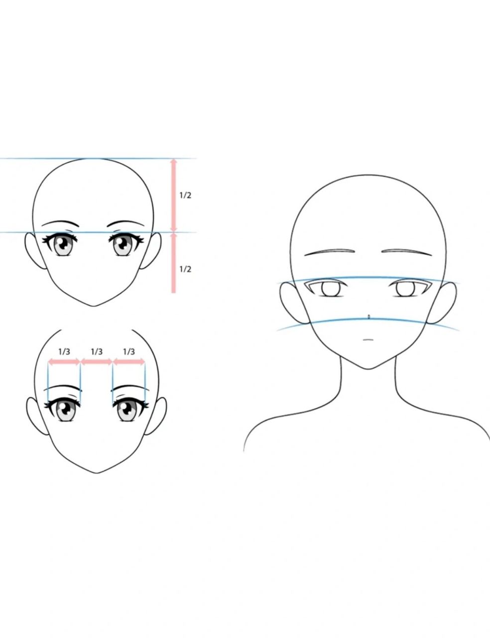 画法及比例关系 广州番禺南阁艺术中心整理 动漫人物的五官位置参考