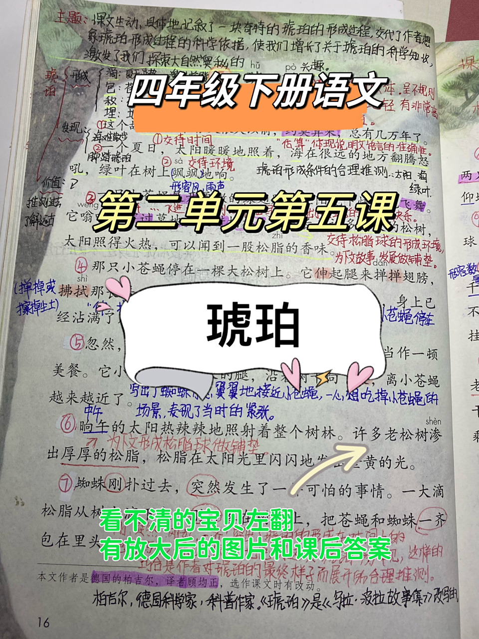 2023新四年级下语文第五课琥珀课堂笔记  	 四下语文第二单元第五课