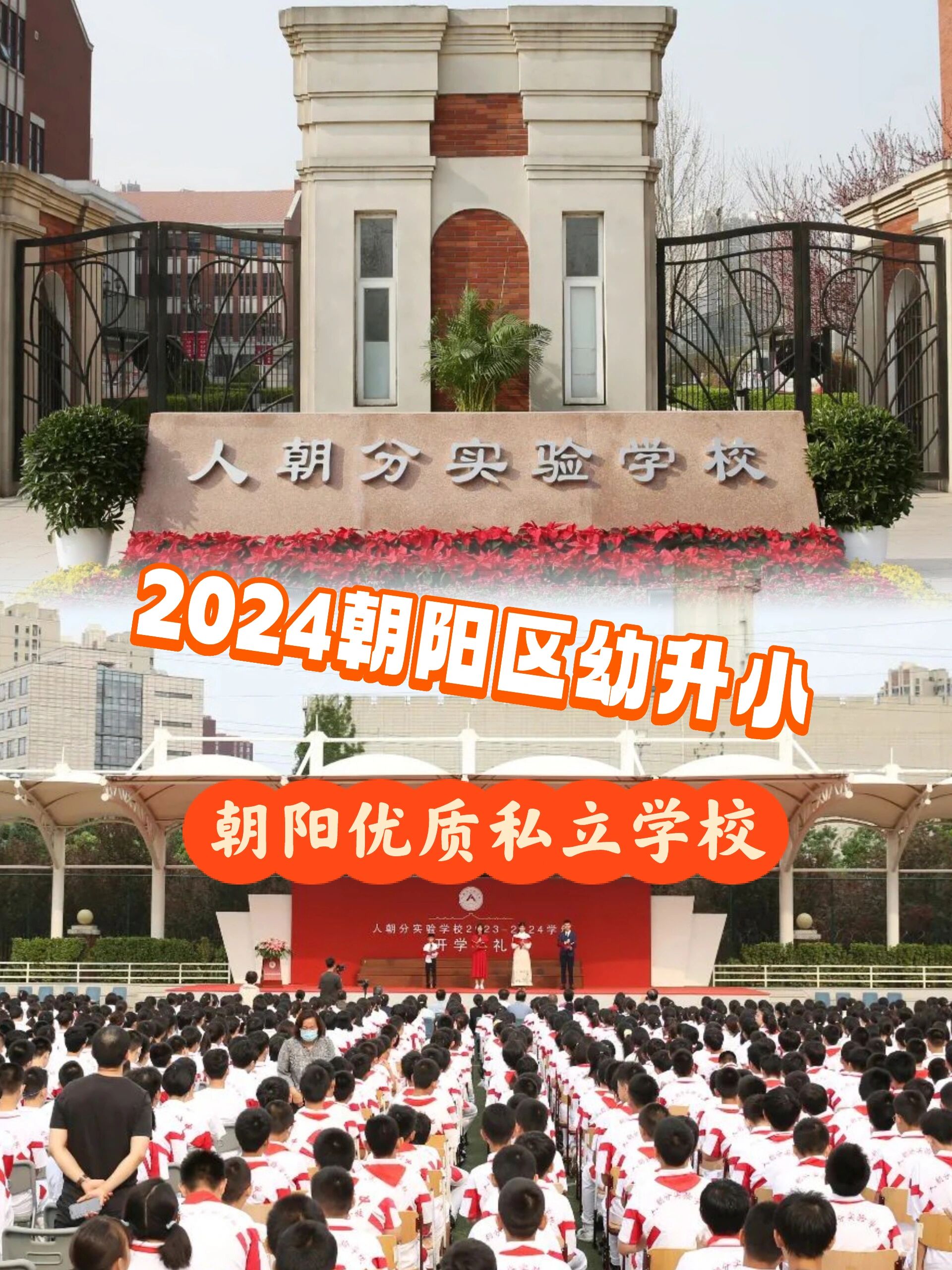 北京市朝阳区小学校徽图片