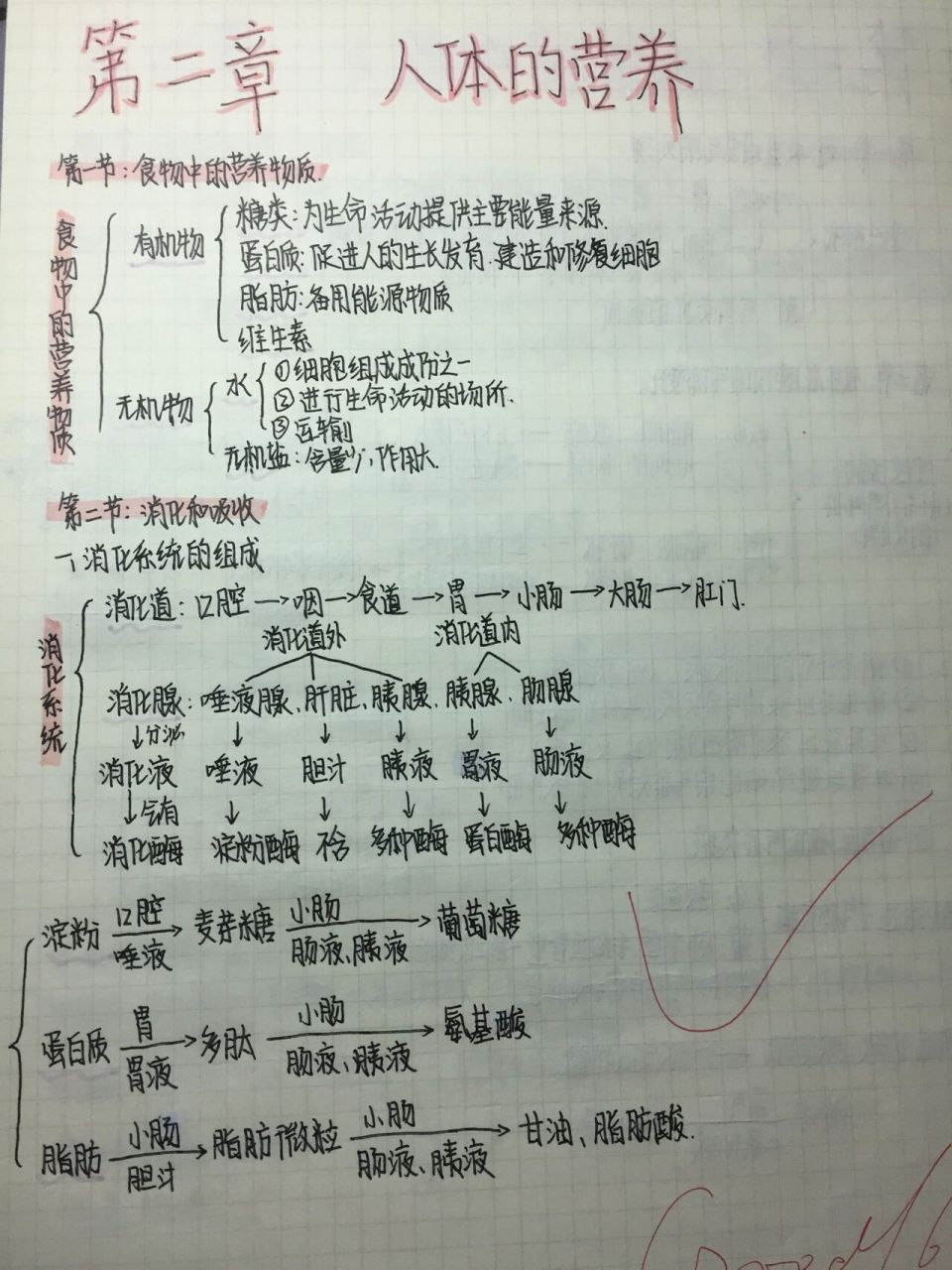 七下生物思维导图第二章 知识点梳理