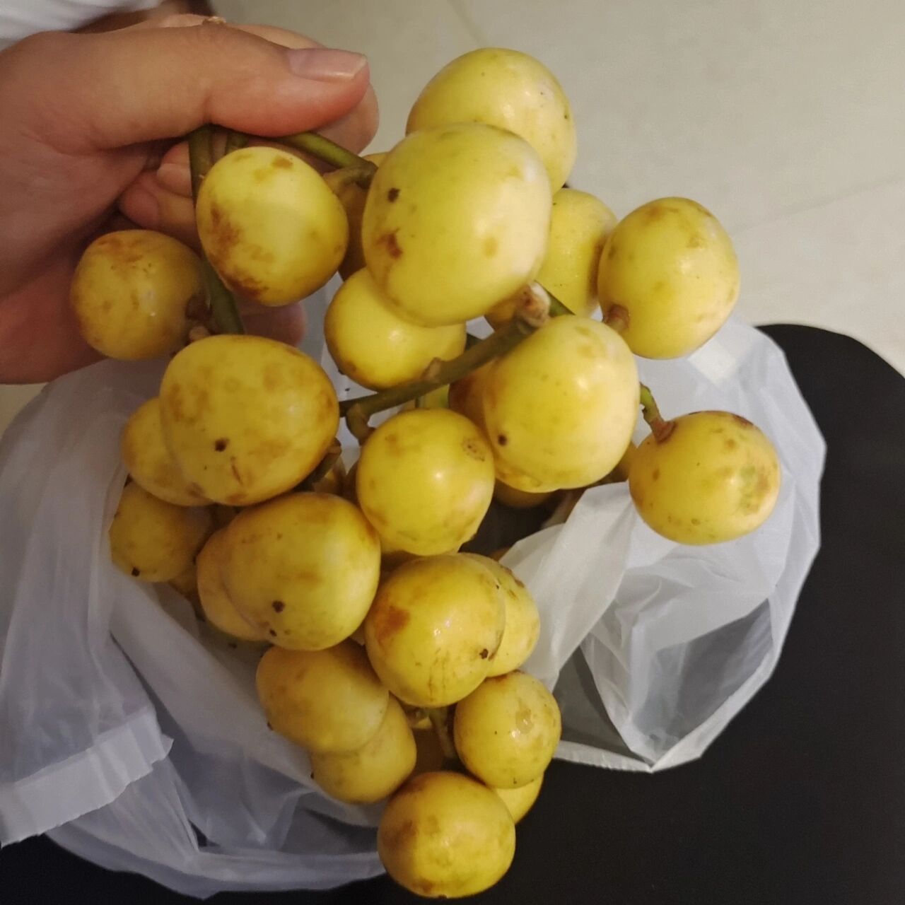 下乡碰见的野果,在海南第一次遇见,口感是偏酸的,吃完舌头有点涩.