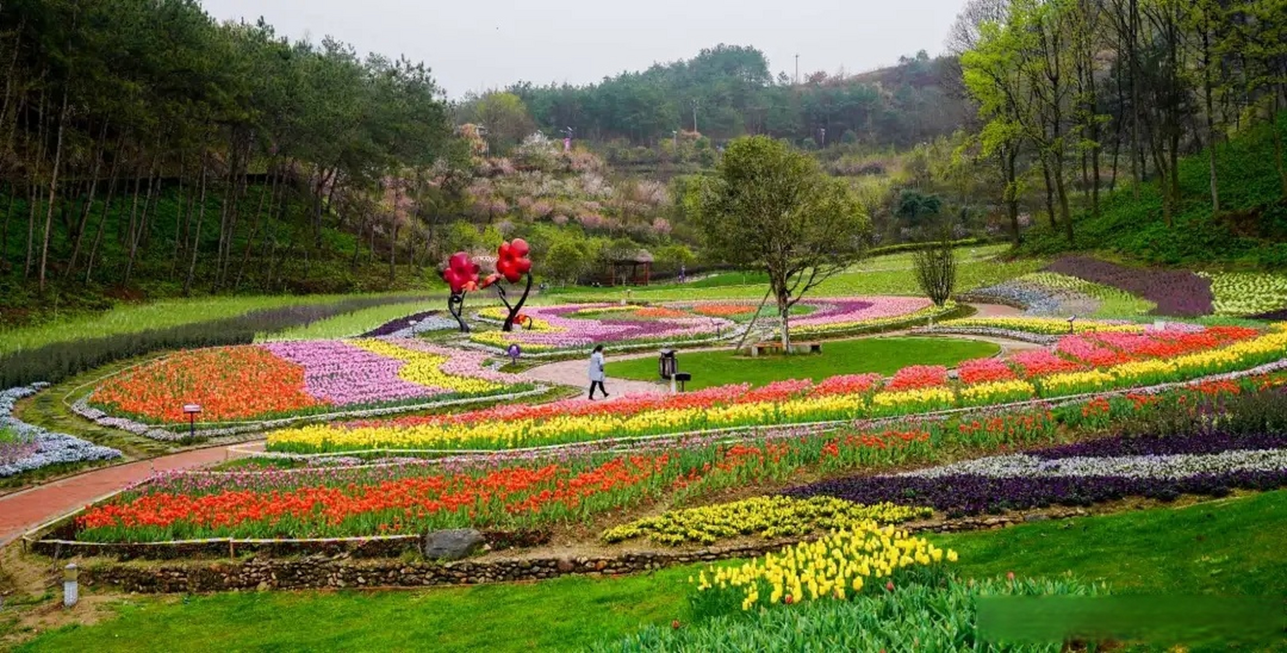 不要急,赶紧来英山县四季花海,这里的郁金花海还在等着你,从武汉出发