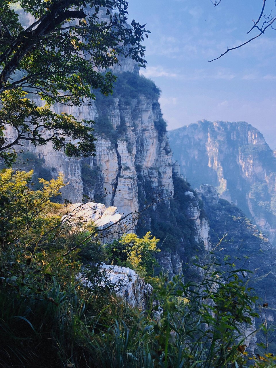 青山棺材山图片