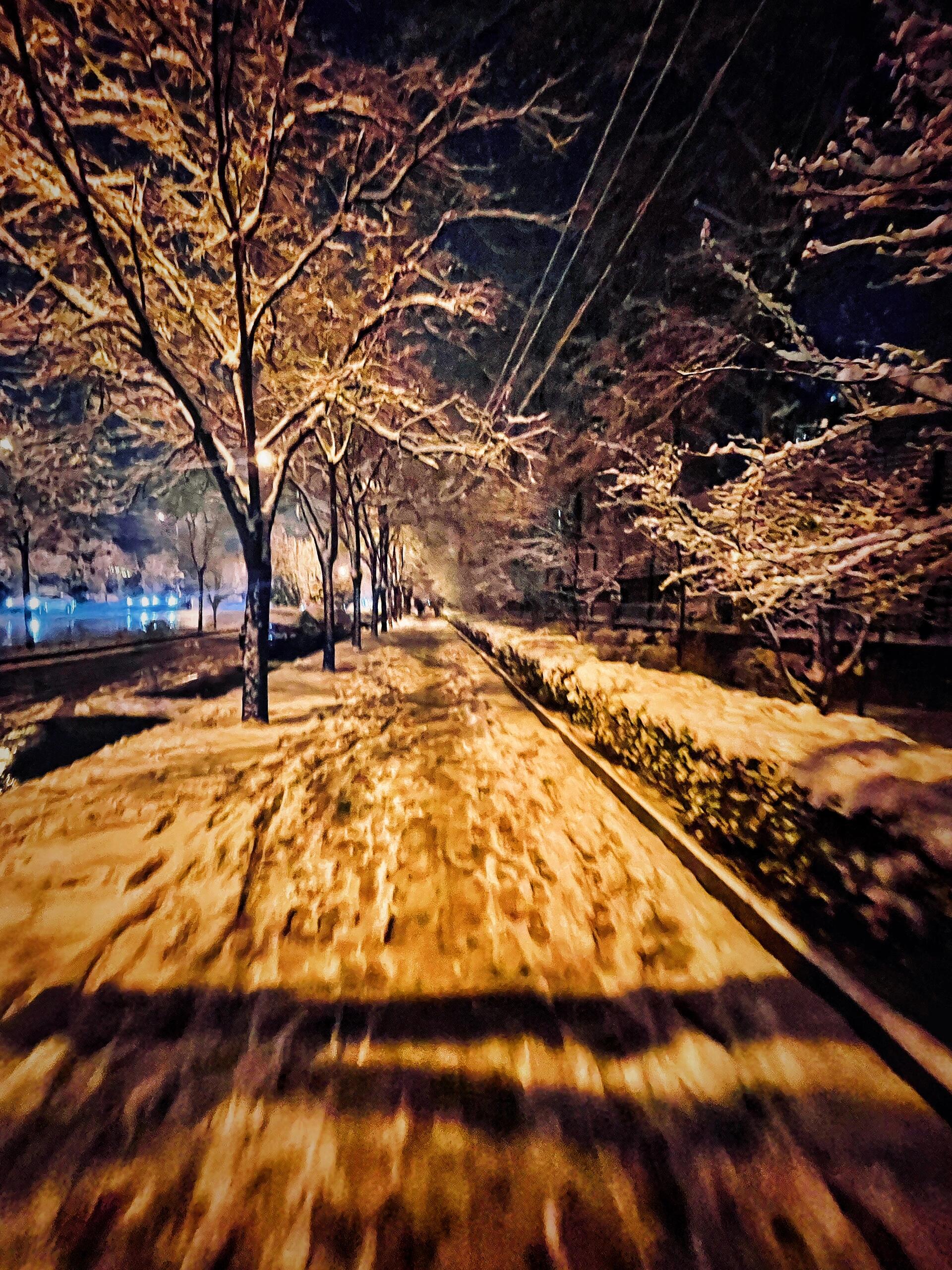 下雪夜景 大街图片