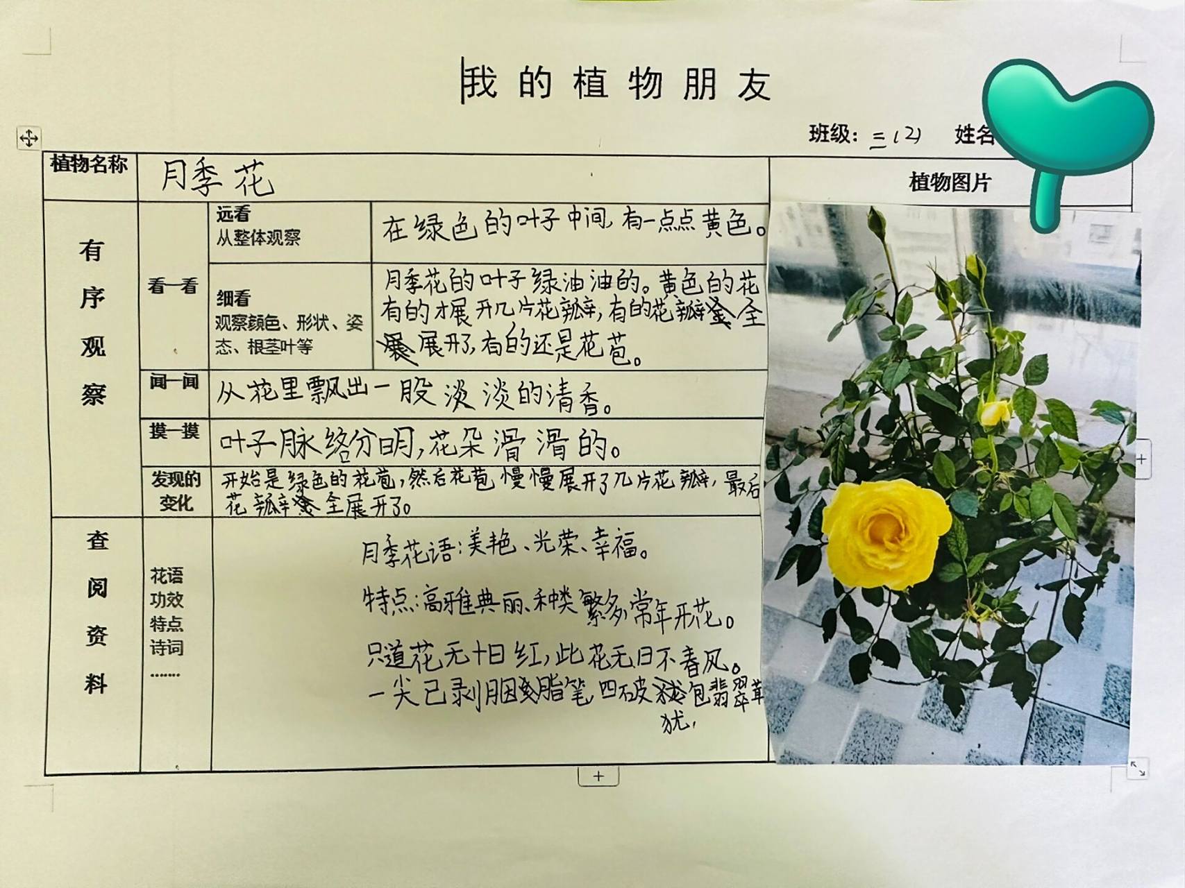 三下第一单元习作《我的植物朋友》记录卡9105