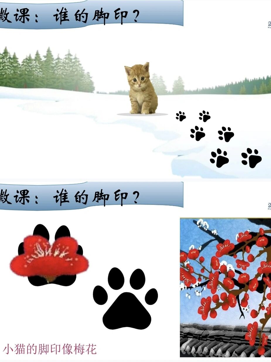 幼儿园公开课73小班科学《谁的脚印