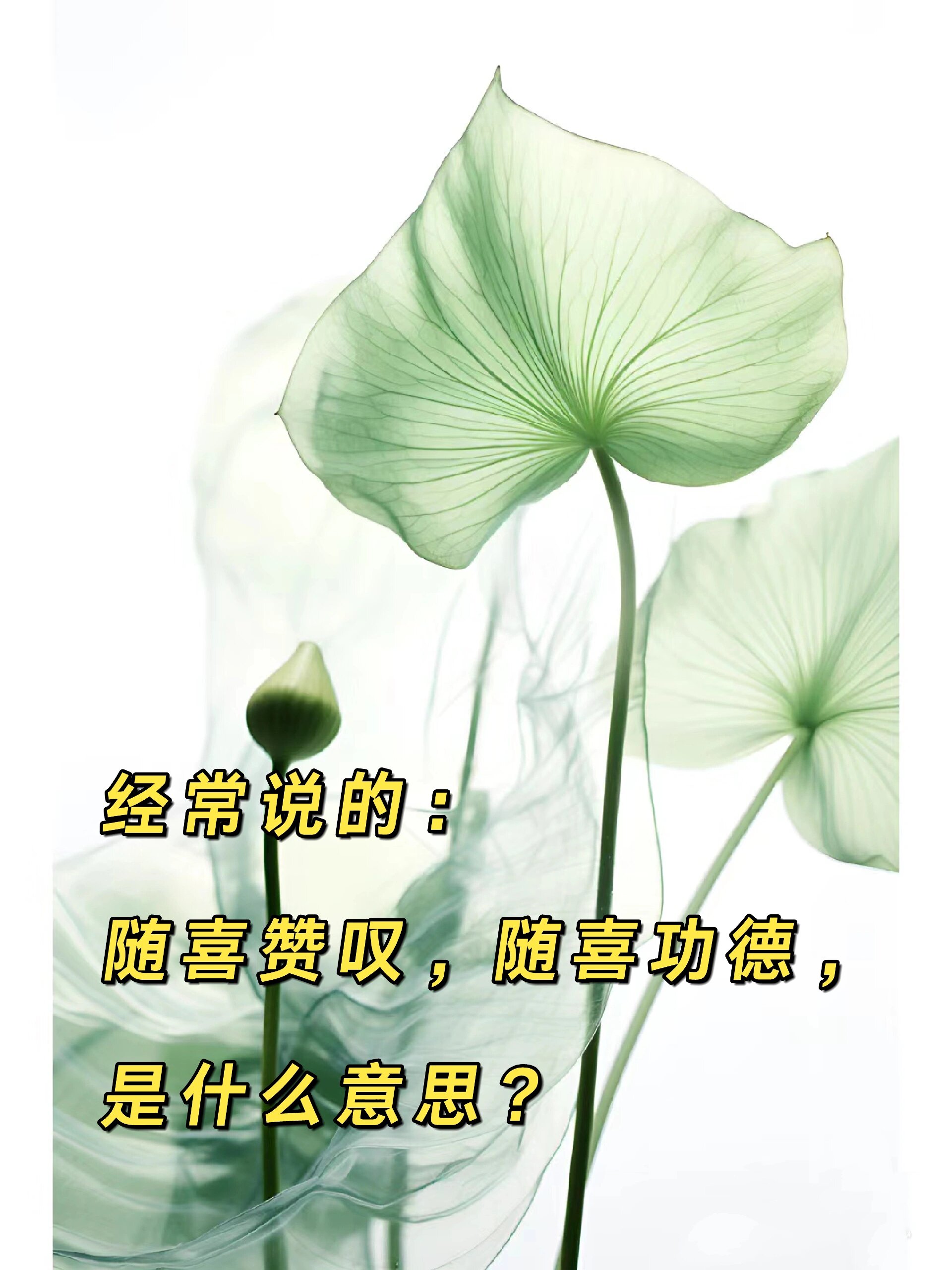 "随喜功德,随喜赞叹"是什么意思?
