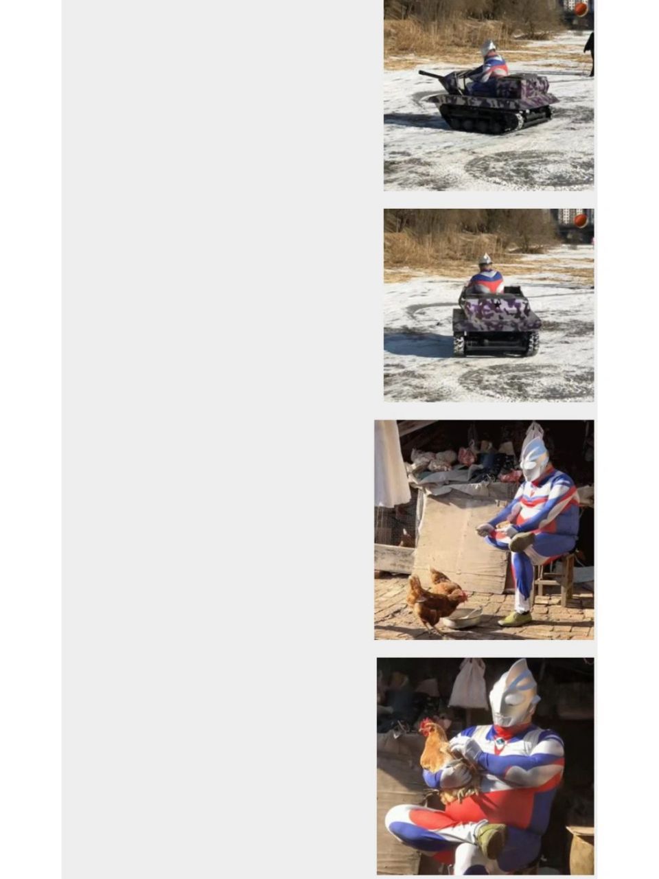 奥特曼喂鸡表情包 求!这几个表情包我都有,求这个系列的其他的表情包