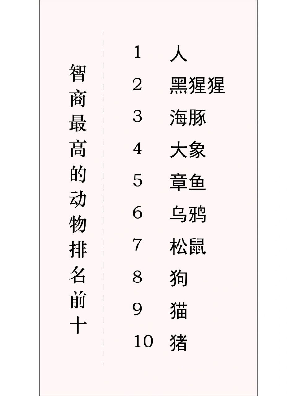 智商最高的动物排名前十