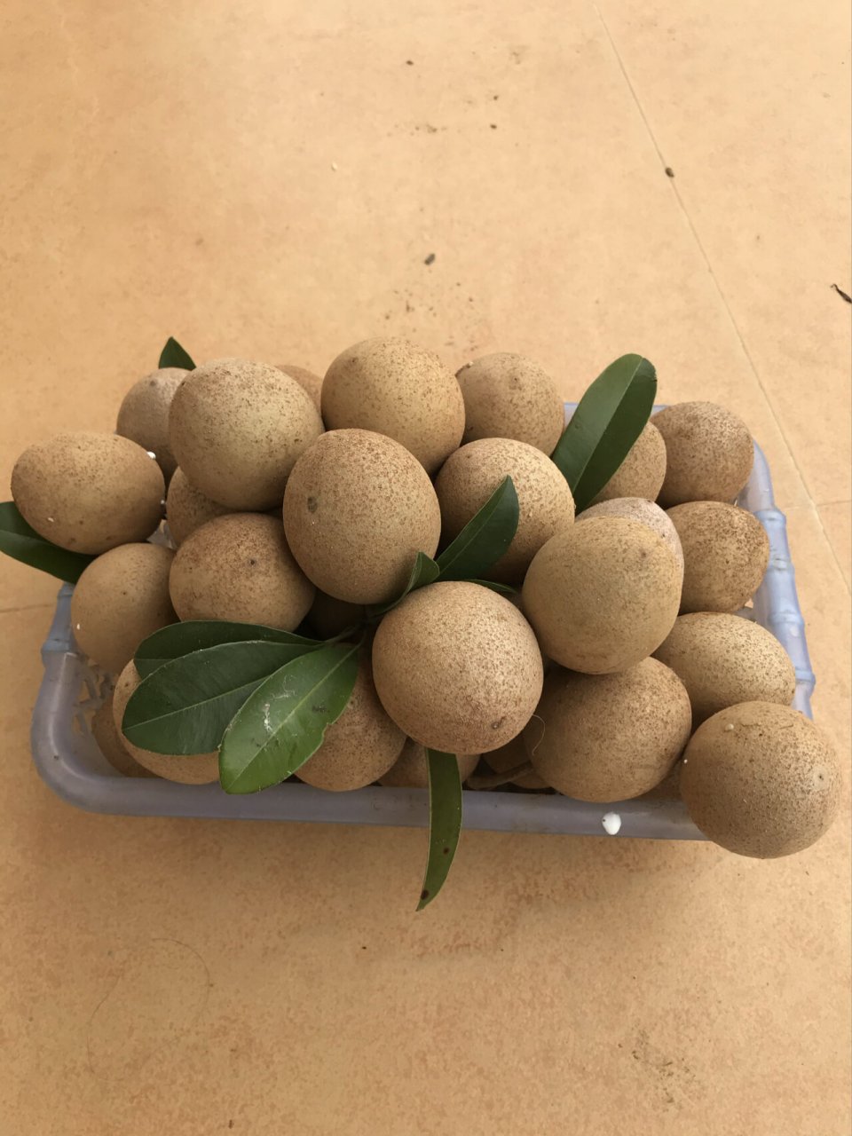 人心果营养丰富,富含钙,硒等多种微量元素,孕妇经常吃些人心果,能激活