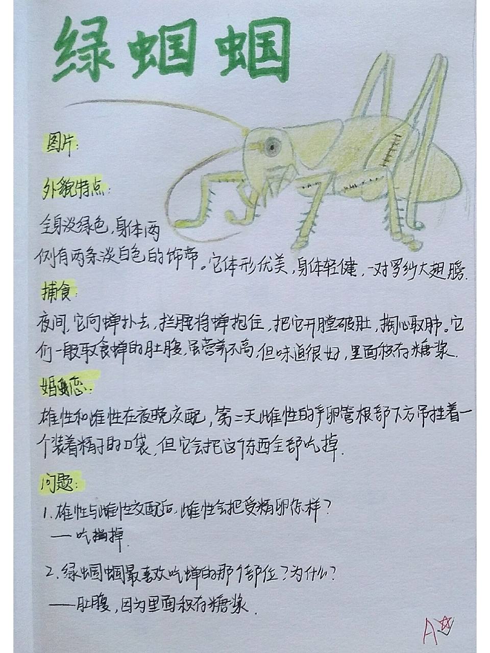 《昆虫记》昆虫名片 绿蝈蝈,象态橡栗象昆虫名片