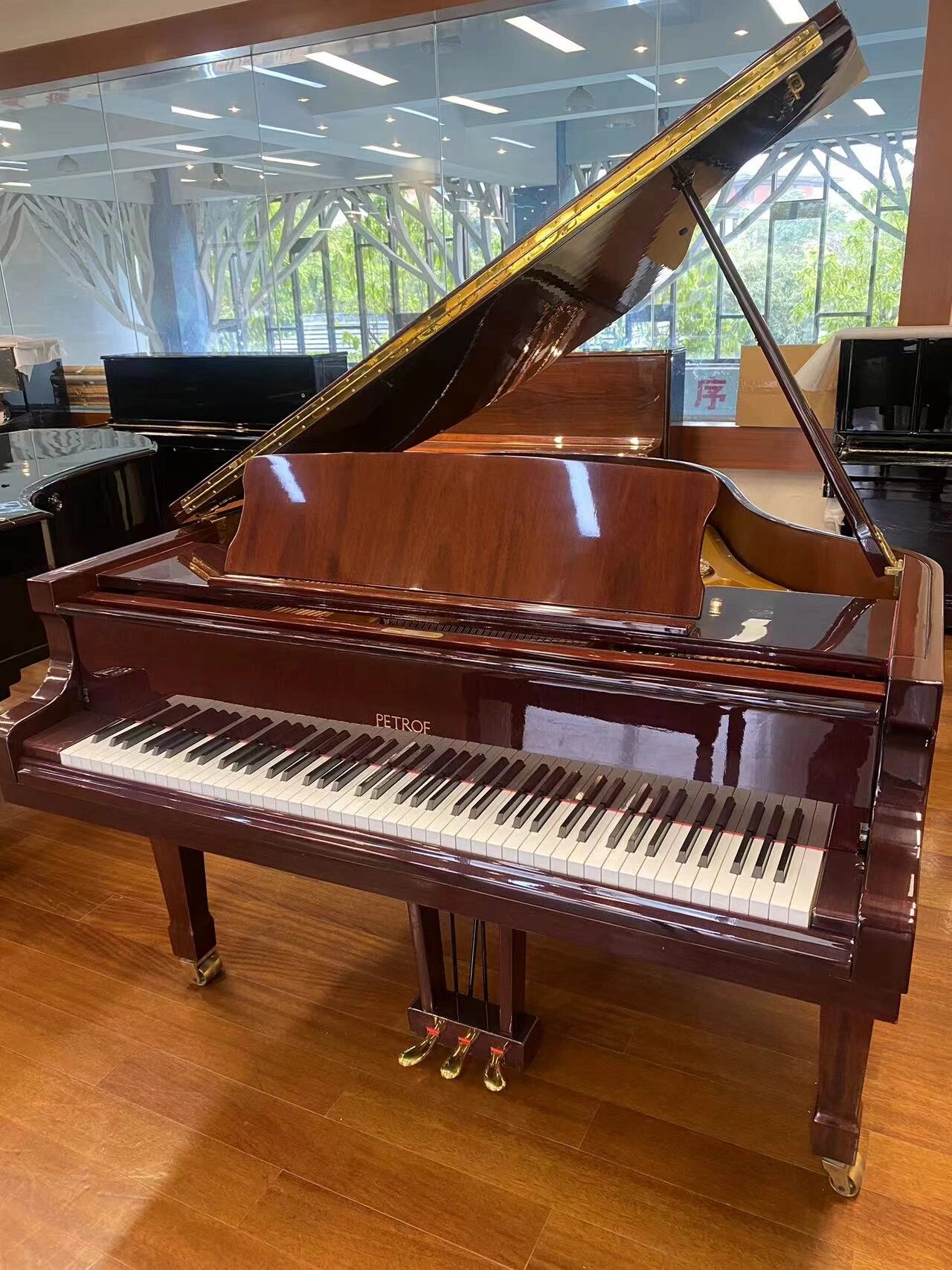 捷克国宝钢琴 petrof/佩卓夫