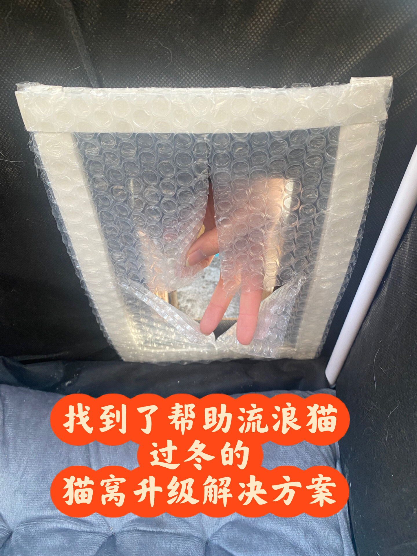找到了流浪猫猫窝冬天漏风的解决办法!