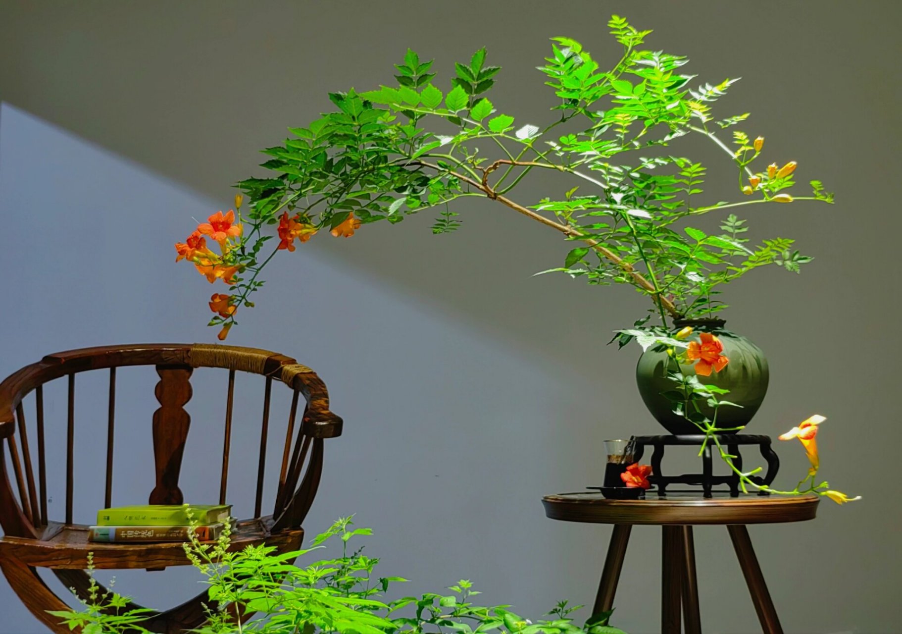 客厅和书房的绿植,都可以这些搭配,更高级