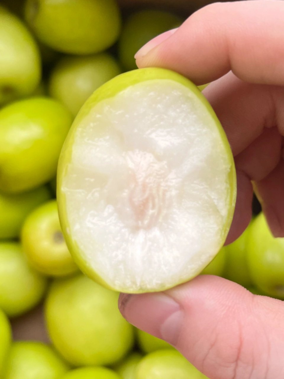 pdd买的元谋青枣真的太好吃啦! 姐妹们!我真的是挖宝小能手!