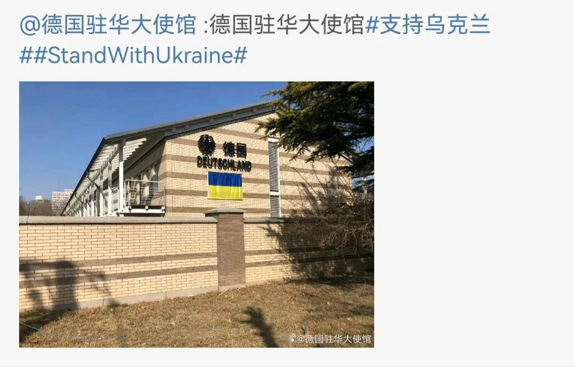 德国试图想复辟纳粹主义?