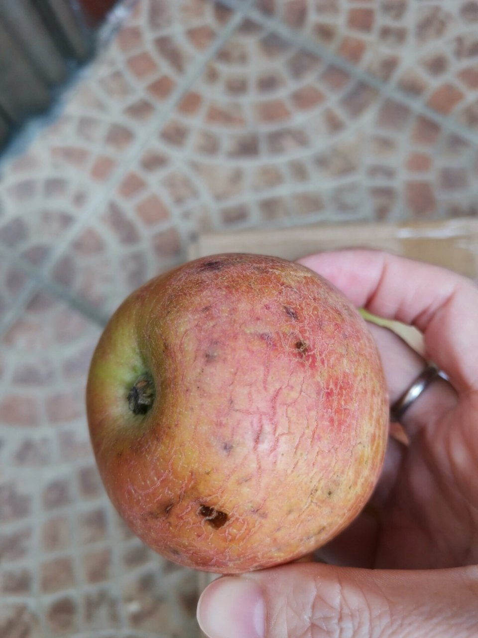 这是丑苹果还是烂苹果? 网购的糖心丑苹果,实在是.