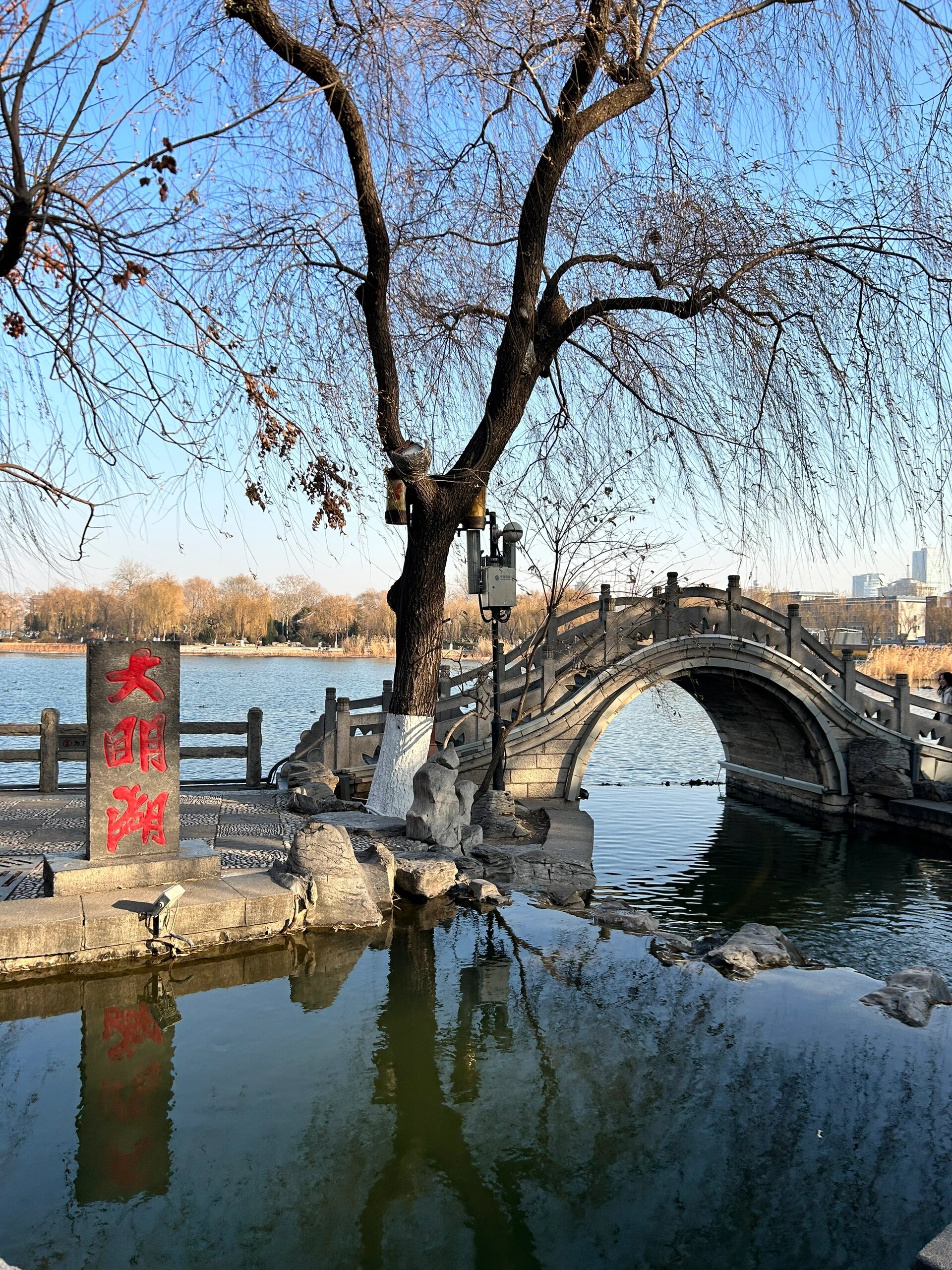 济南city walk之大明湖