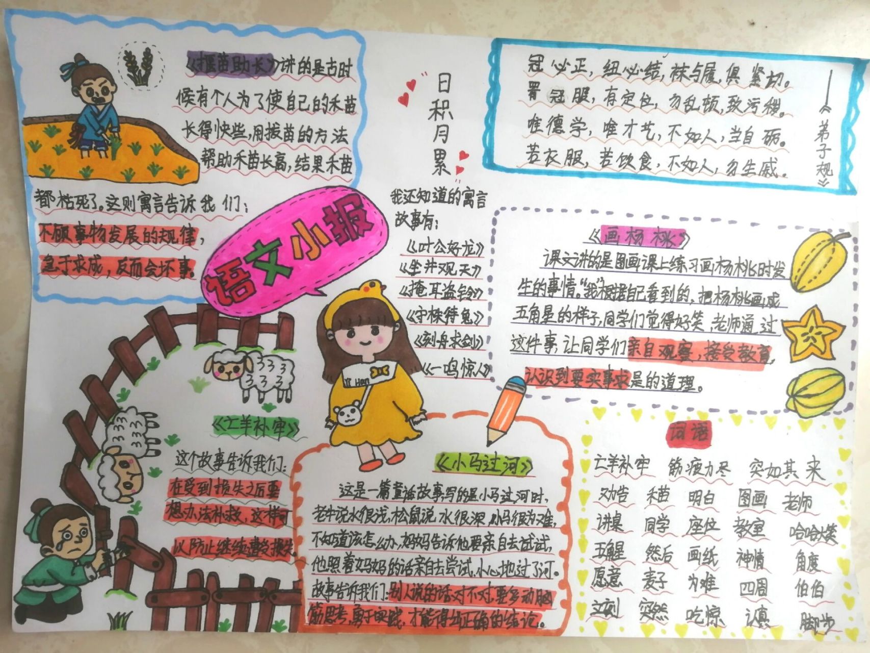 二年级下册语文小报