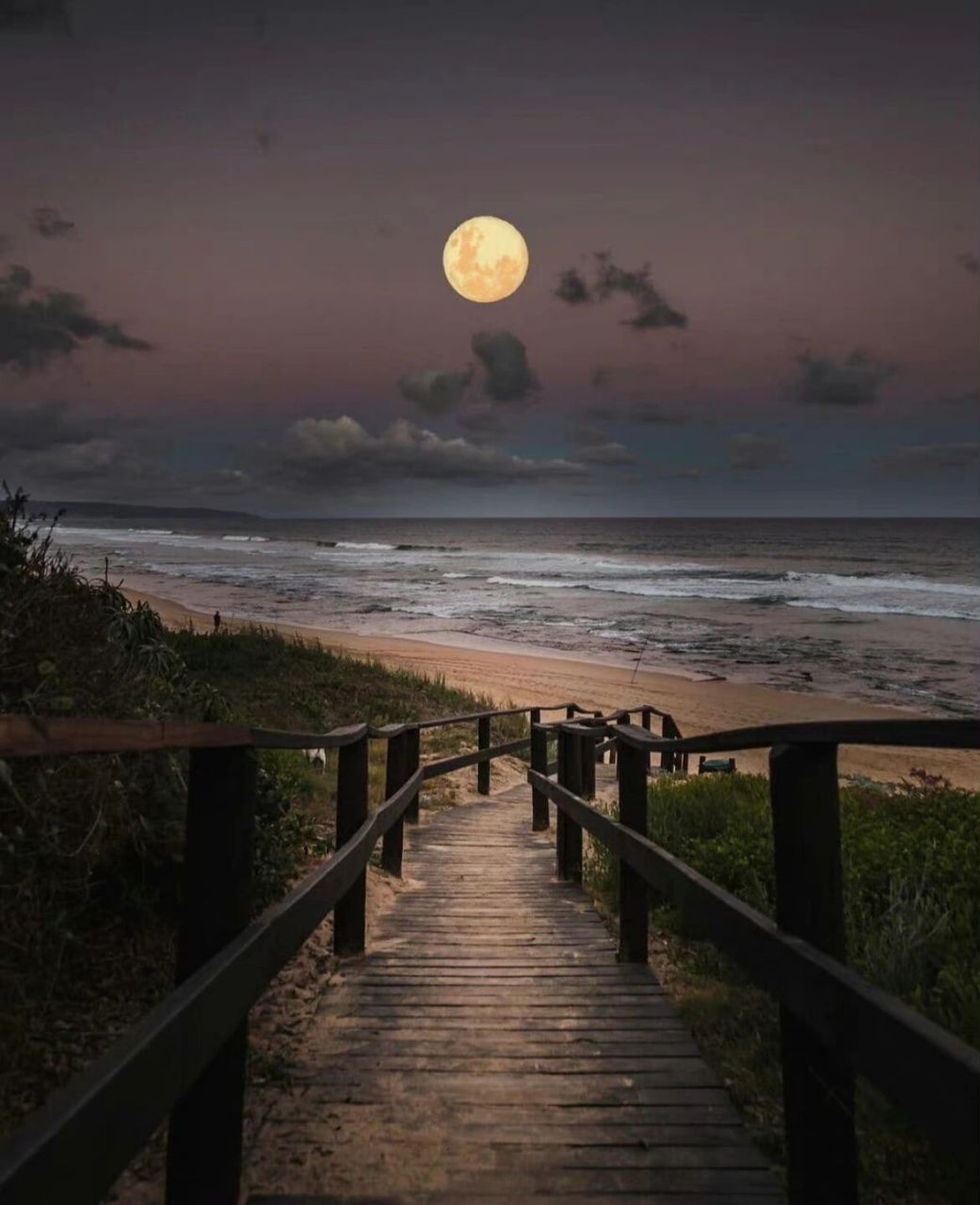 十五的月亮有多美 夜晚,满月升起来了,一片宁静随着银雾般的月光洒在