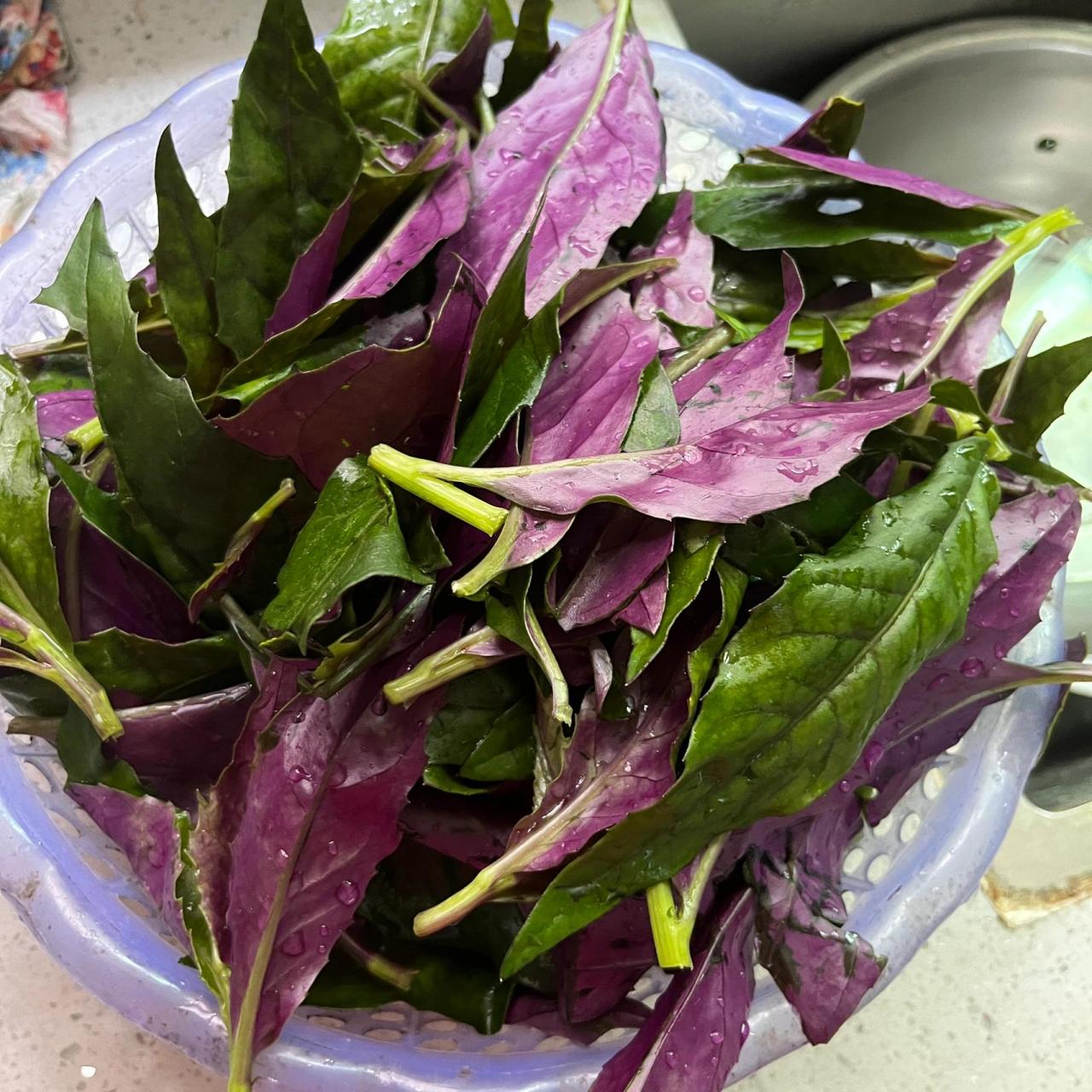 江西人从小到大就喜欢吃的血皮菜,那个汤拿来拌饭,紫红紫红的!