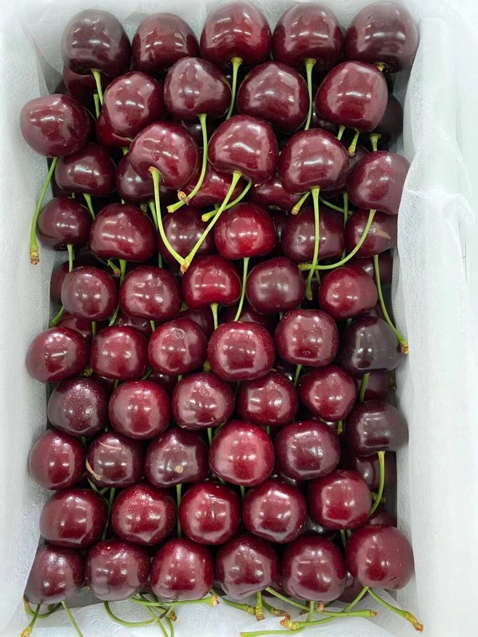 这不是美早7515这是大连冰库樱桃纯甜嘎嘎好吃 来啦 它来啦 大连