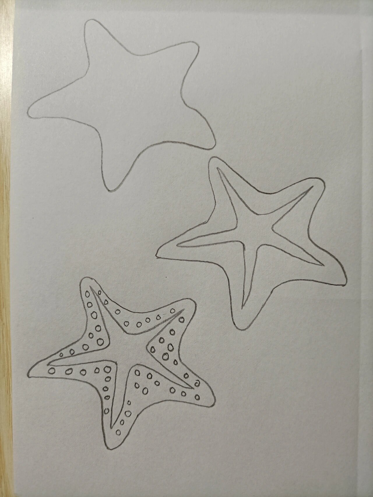 简笔画(141)海星