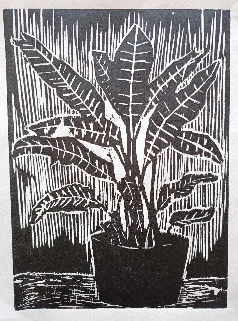 黑白木刻植物图片