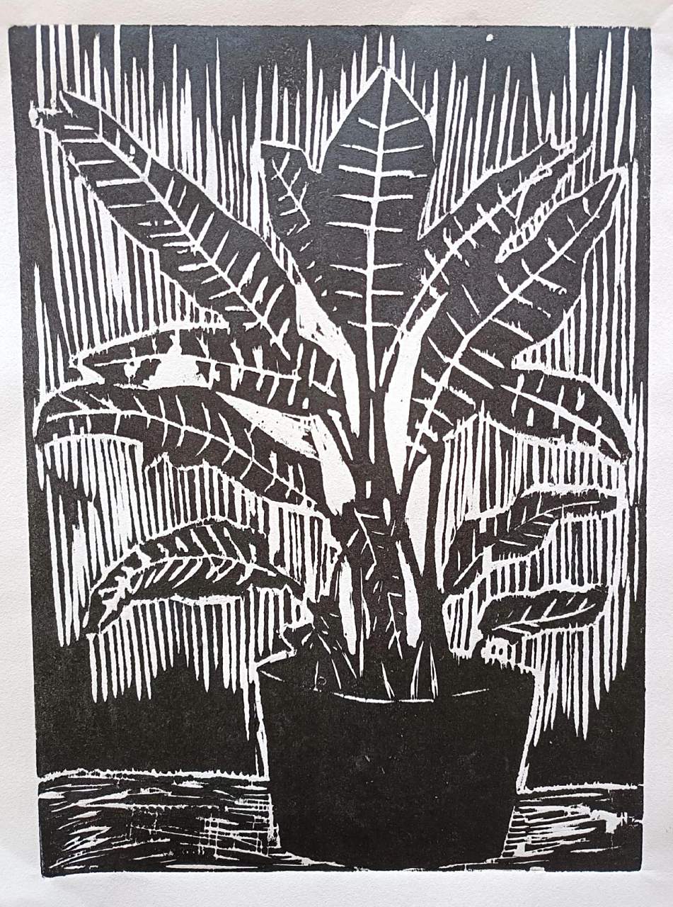 孩子们植物主题尝试!画画 版画 儿童版画 黑白木刻版画